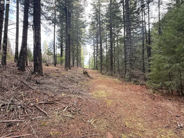 a view of outdoor space and yard