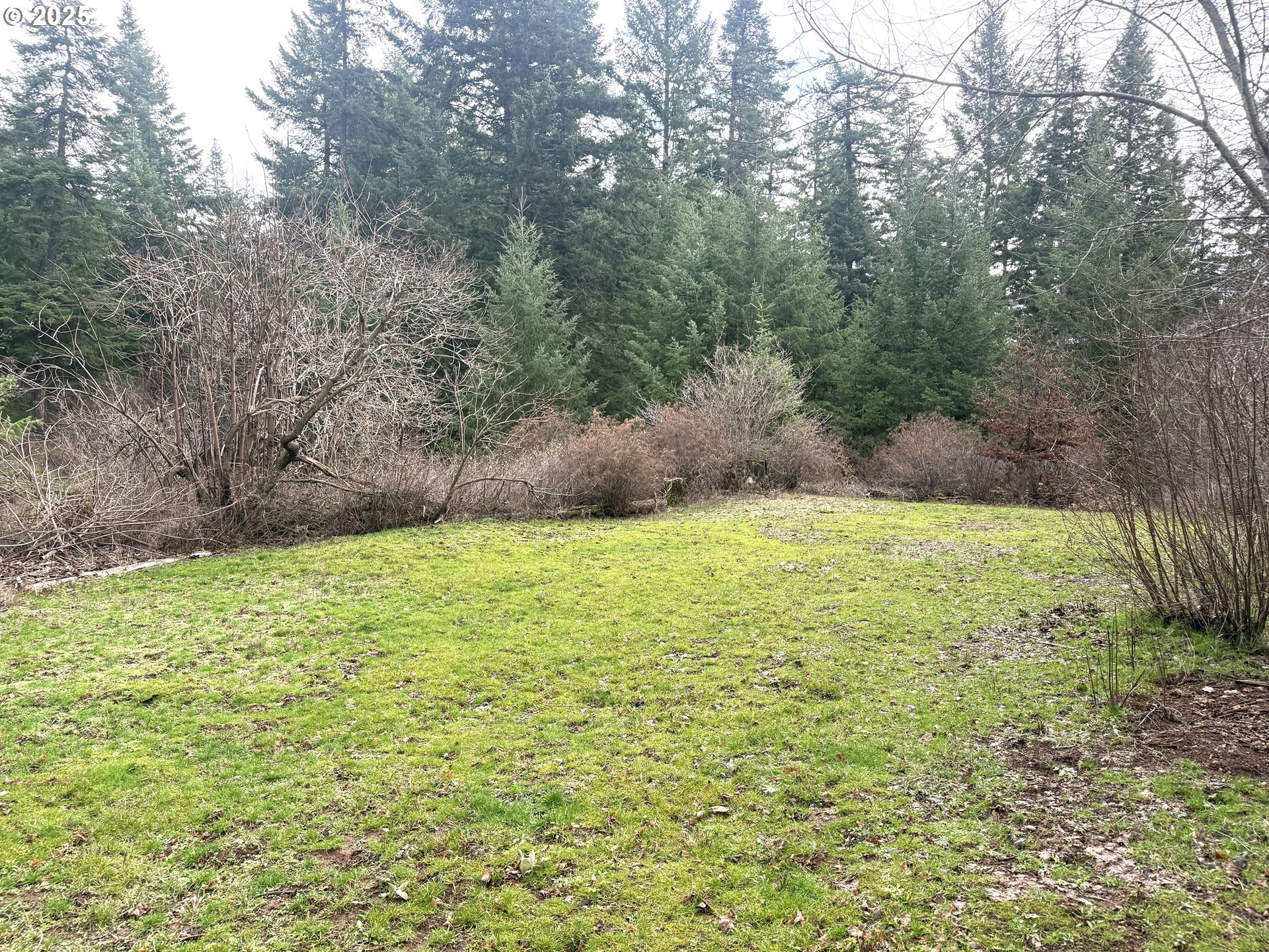 627 Canyon Road Lyle, WA 98635 - Photo 14 of 22 a view of outdoor space and yard