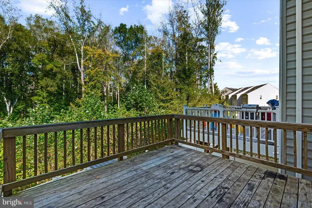a view of a backyard with plants