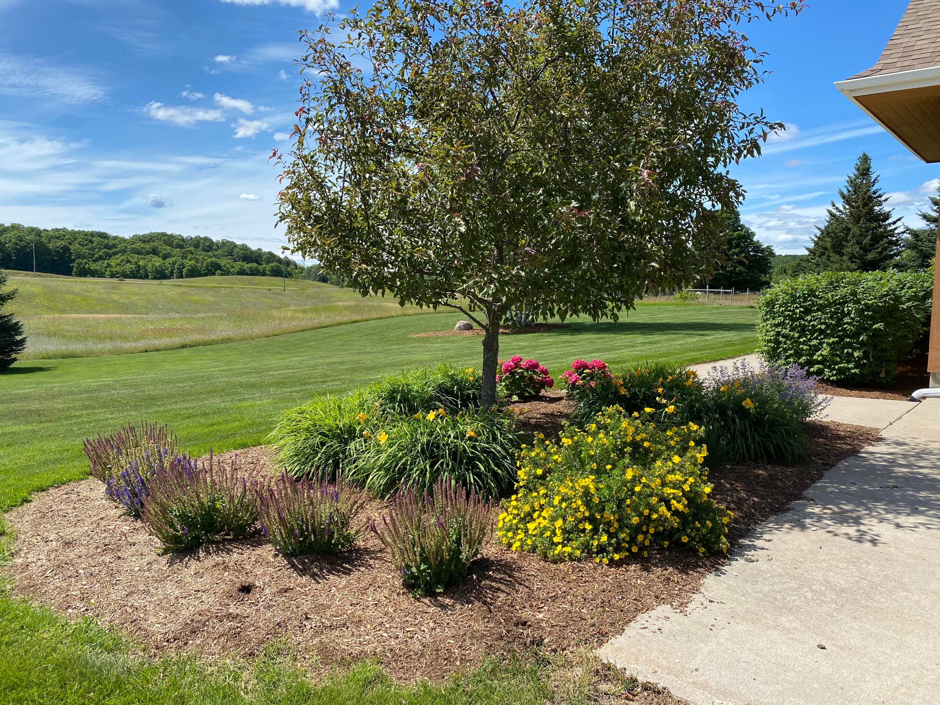 895 Goslow Road Gaylord, MI 49735 - Photo 14 of 49 Gallery Image 14