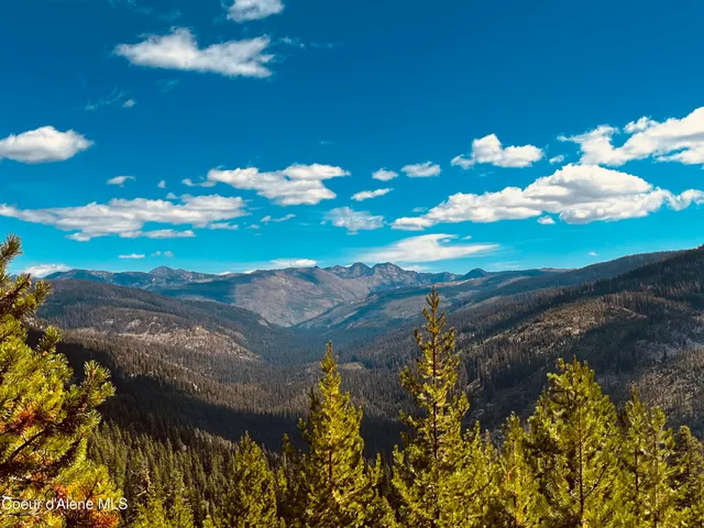 $495,000 | 2 Packers Meadow Road, Kooskia, ID 83539