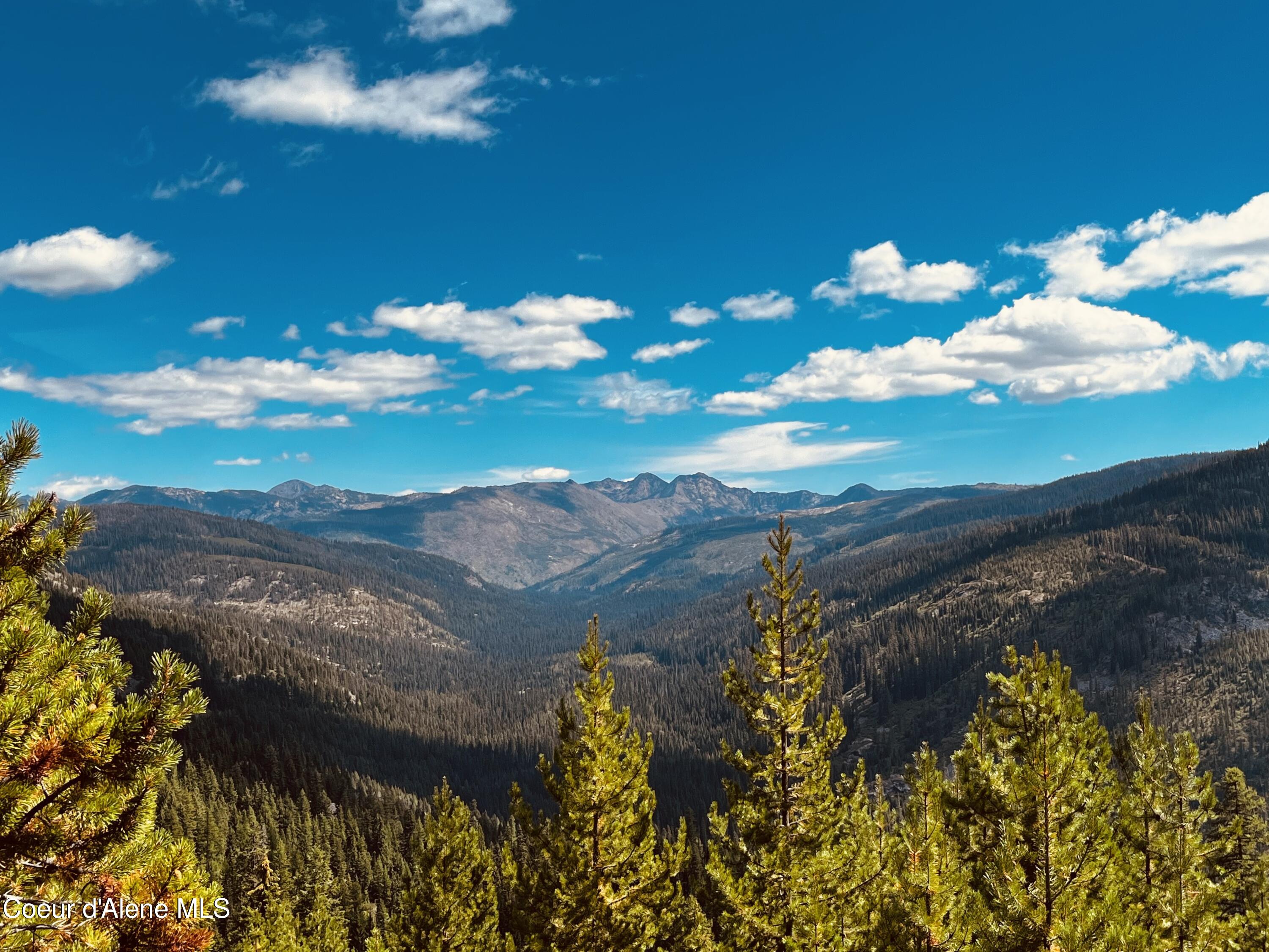 2 Packers Meadow Road Kooskia, ID 83539 - Photo 2 of 12 Grandview Primary