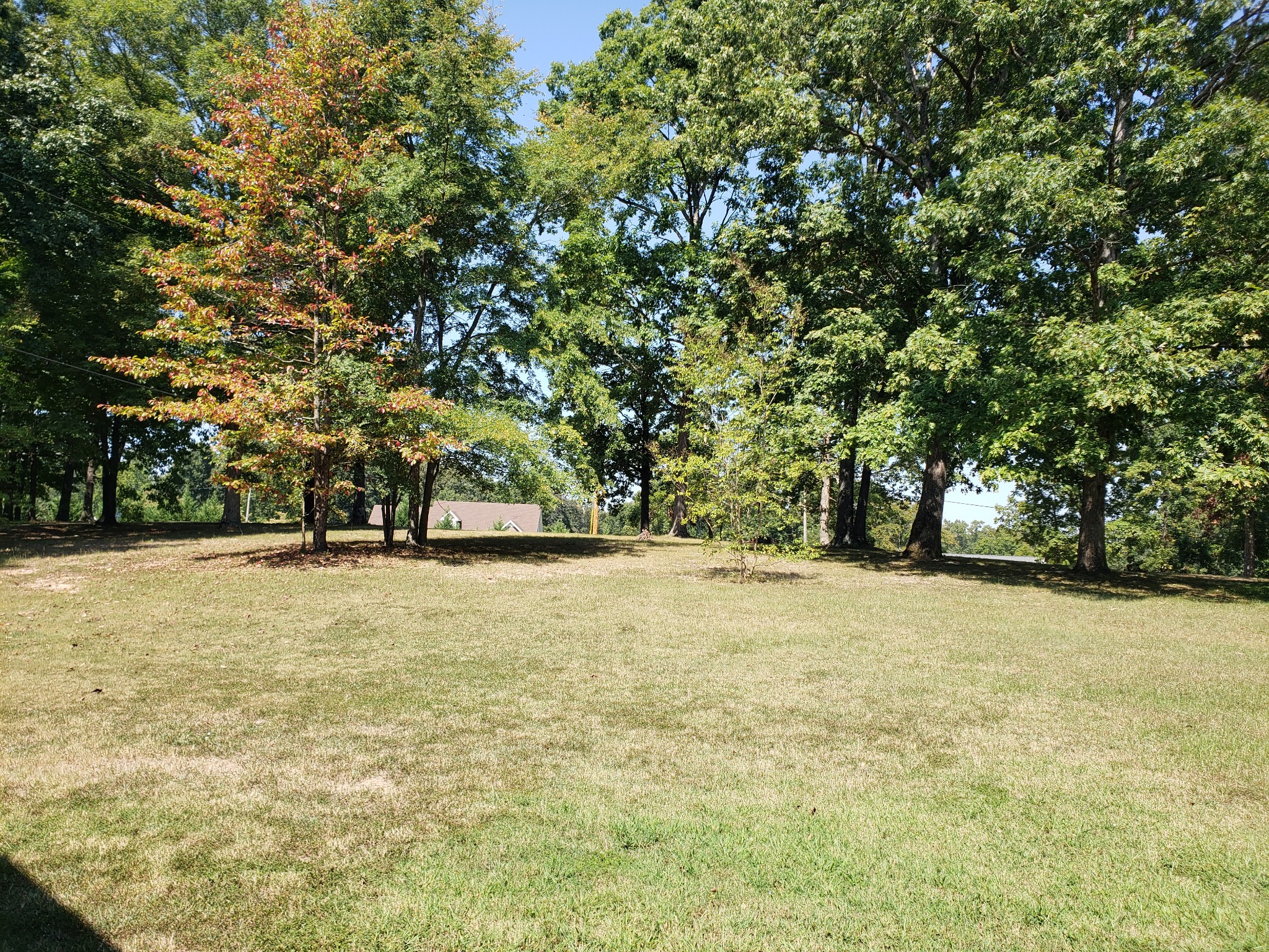 624 Salem Ridge Road Clarksville, TN 37040 - Photo 7 of 11 Gallery Image 7