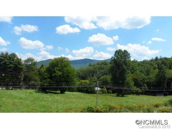 230 Firehouse Road Otto, NC 28763 - Photo 3 of 17 Gallery Image 3