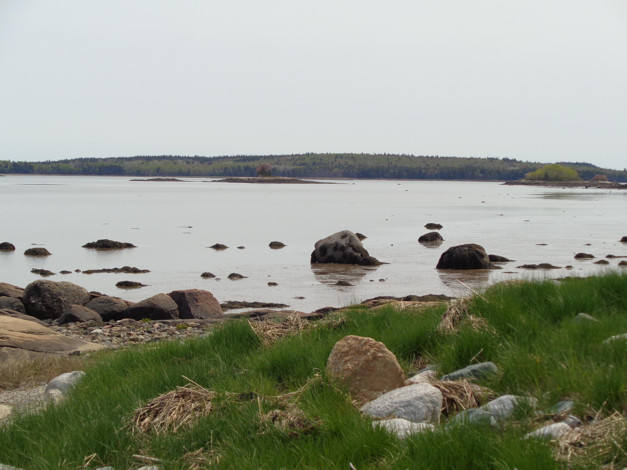 Lot 14-5 Pineo Point Road Harrington, ME 04643 - Photo 4 of 34 DSC03114