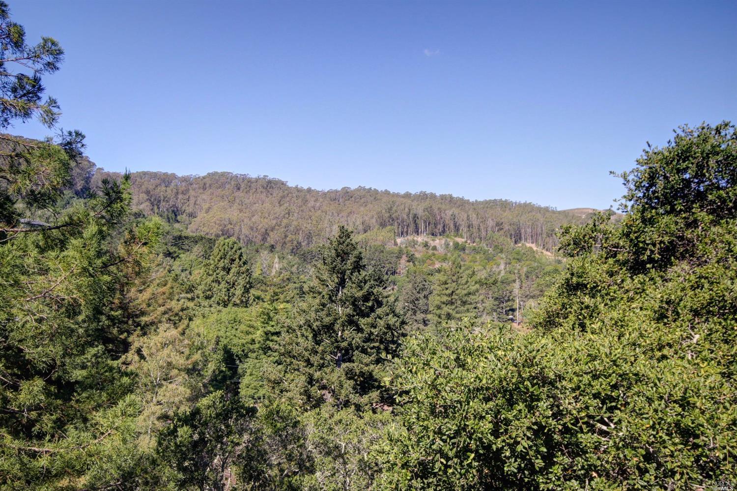 a view of a mountain range with trees in the background
