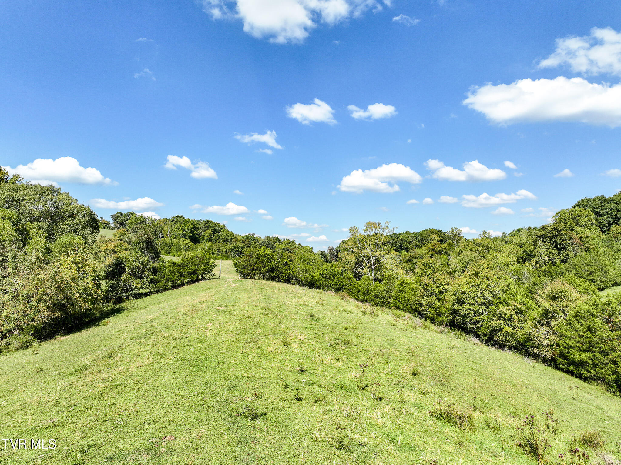 Lot 4 Union Road Greeneville, TN 37745 - Photo 12 of 21 DJI_20250918110107_0300_D