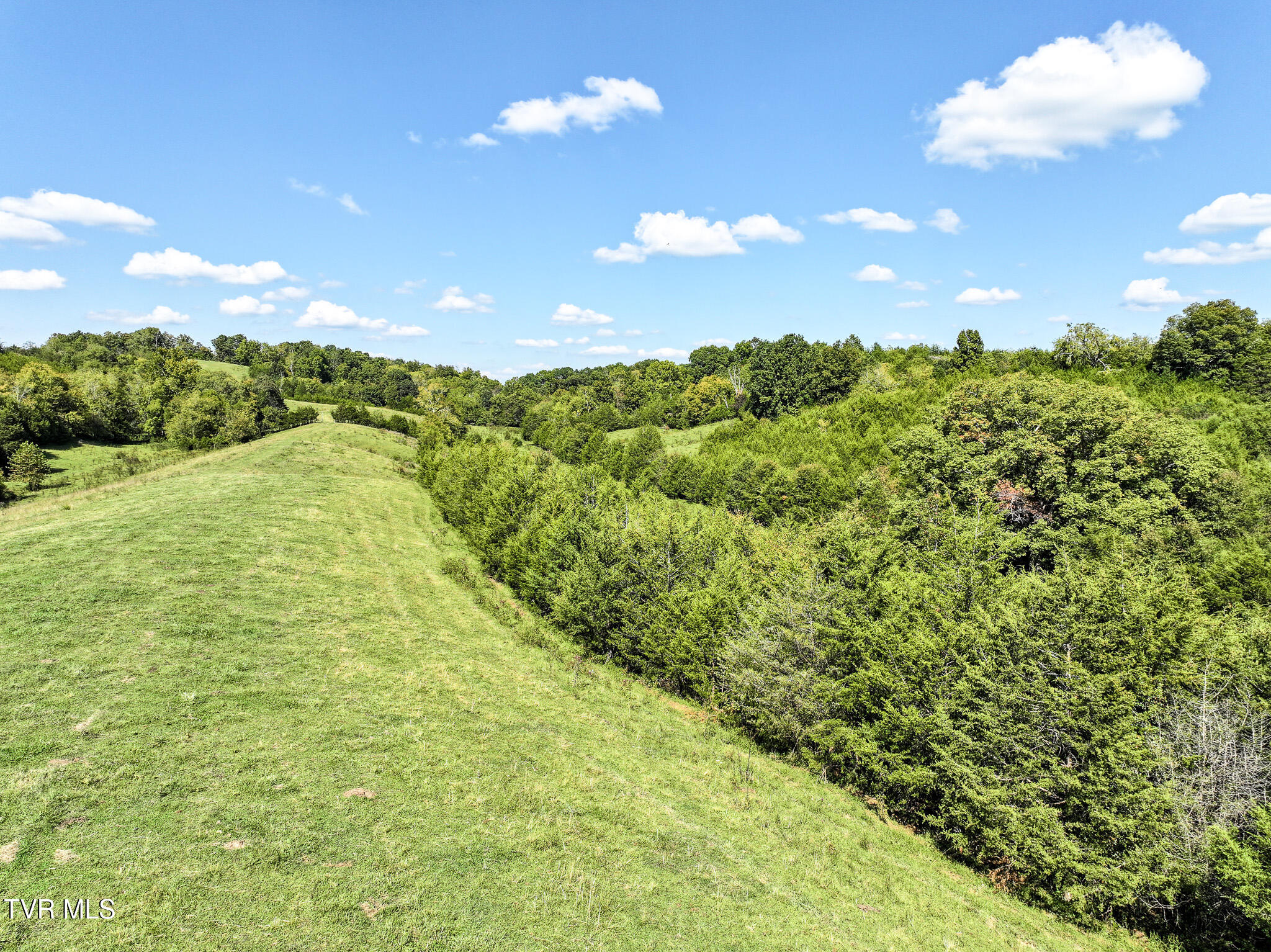 Lot 4 Union Road Greeneville, TN 37745 - Photo 8 of 21 DJI_20250918105604_0284_D