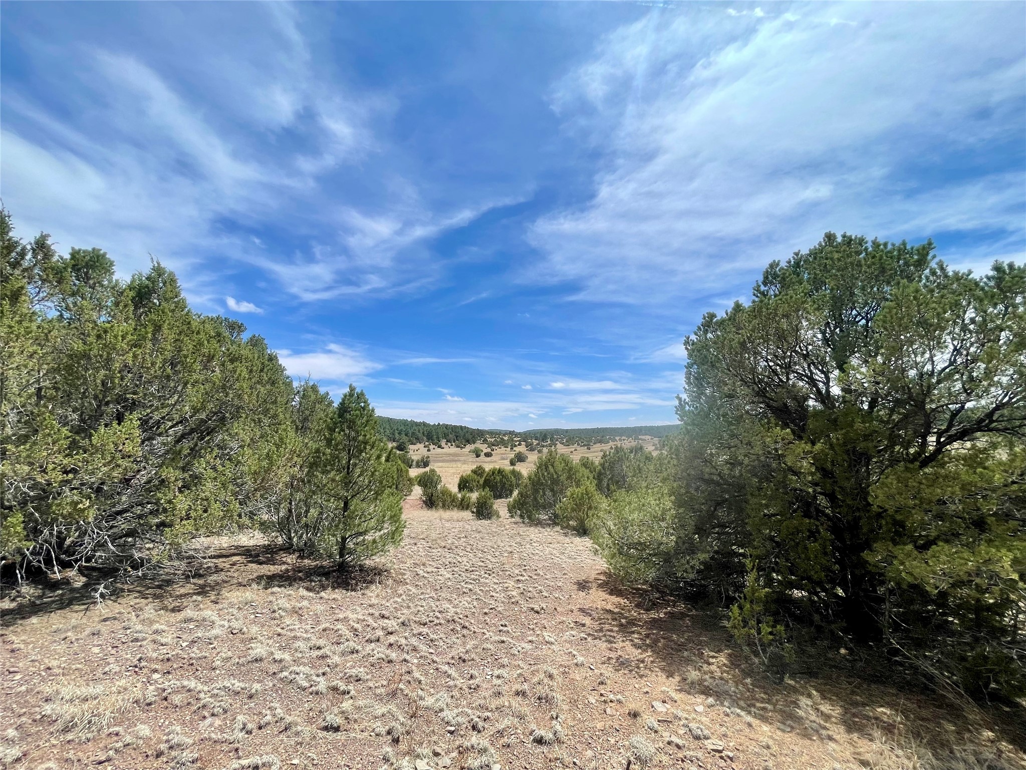 331 Mirasol Road Las Vegas, NM 87701 - Photo 8 of 14
