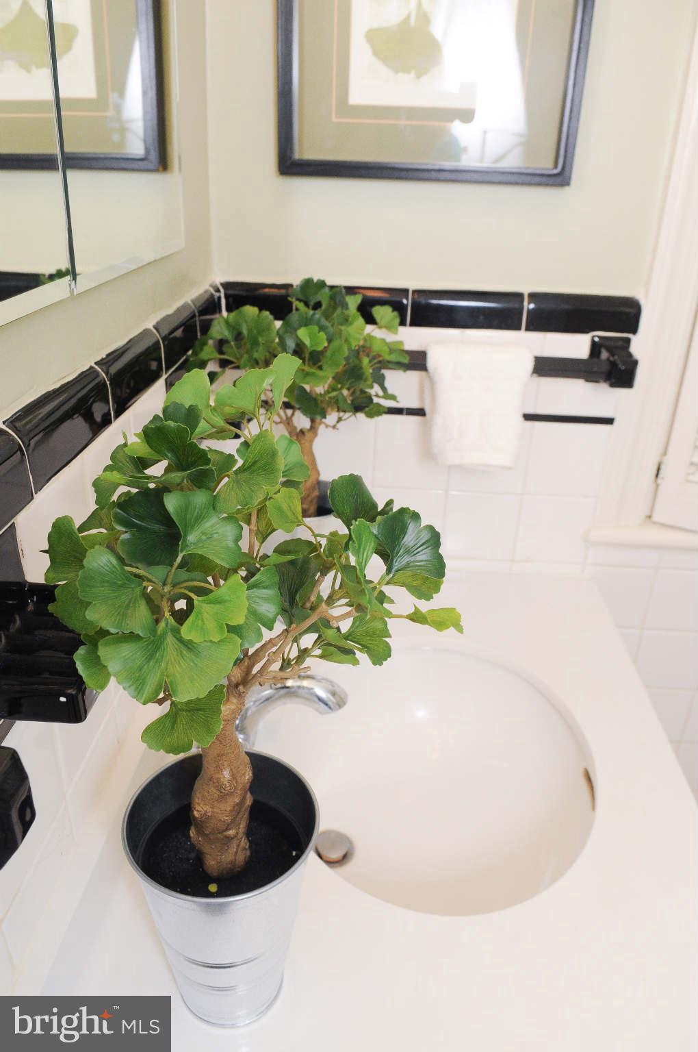 4971 Little Falls Road Arlington, VA 22207 - Photo 13 of 23 Bath (Master)