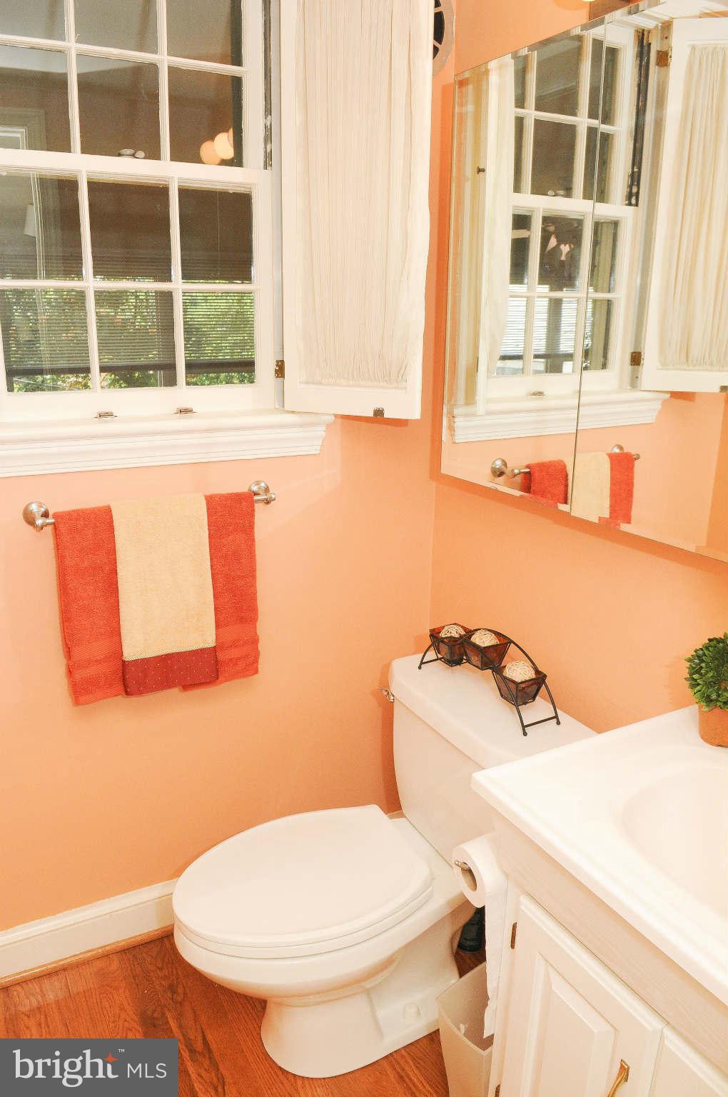 4971 Little Falls Road Arlington, VA 22207 - Photo 23 of 23 Bath