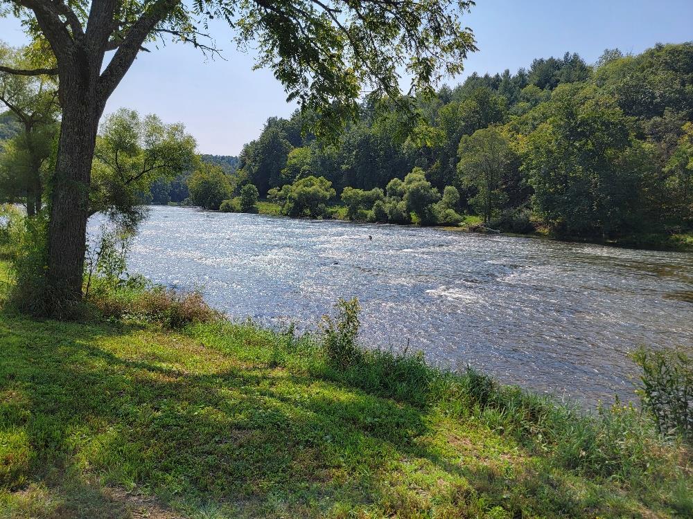 Lot # Moxley Ridge Road, Unit LOT #50 Sparta, VA 28675 - Photo 33 of 37 Gallery Image 33