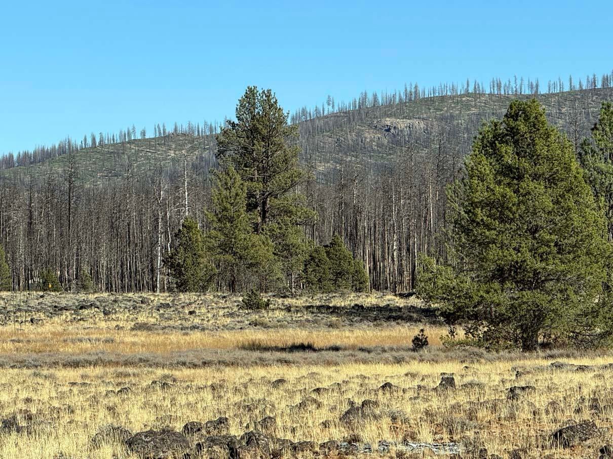 Bull Pine Road, Unit 500 400 300 Beatty, OR 97621 - Photo 20 of 49 IMG_4205