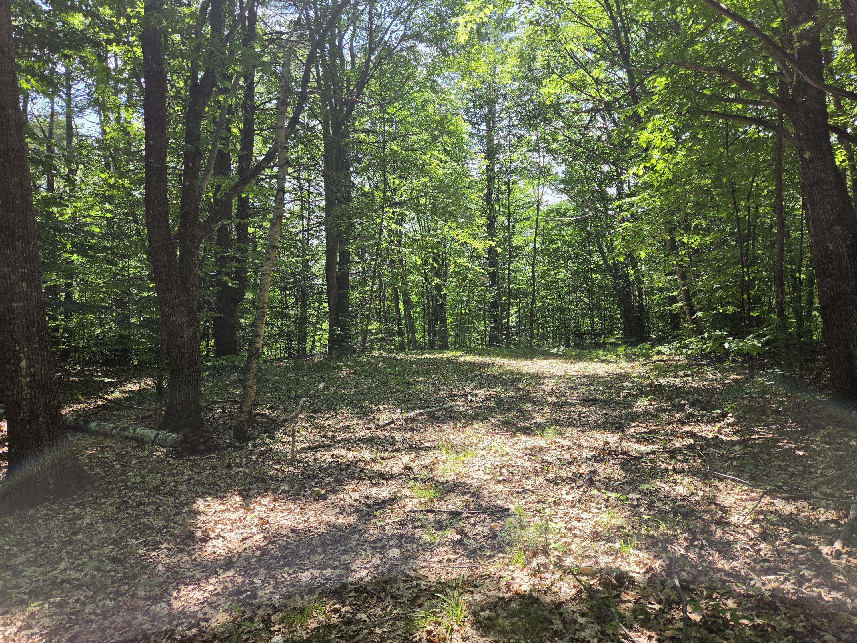 0 Quarry Street Jay, ME 04239 - Photo 4 of 10