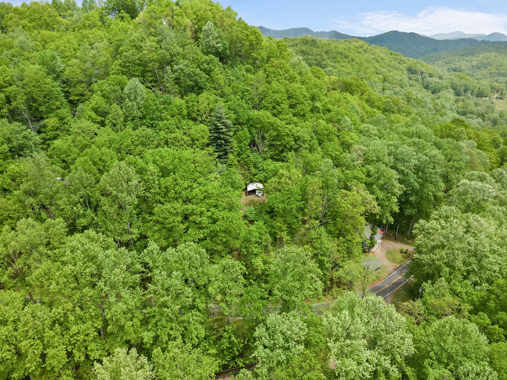 4187 West Old Murphy Road Franklin, NC 28734 - Photo 47 of 54