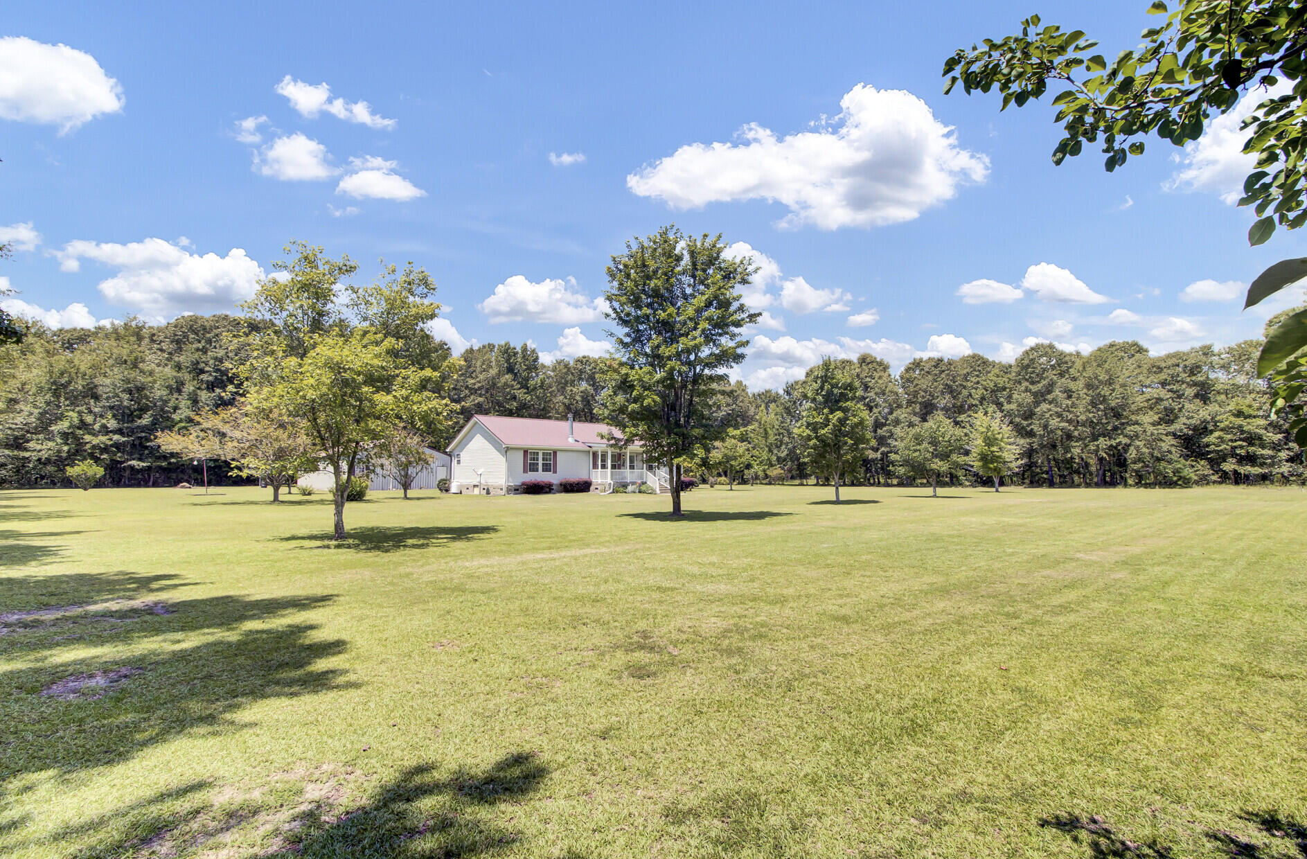 9722 South Brewington Road Greeleyville, SC 29056 - Photo 47 of 50 06_6_mls