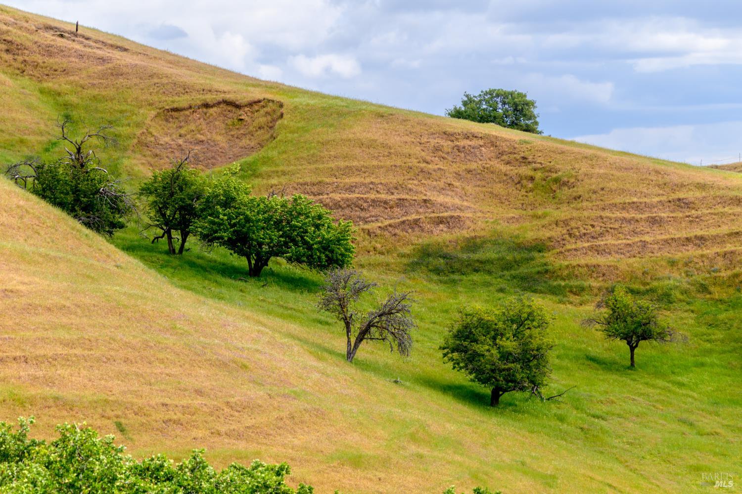 0 Gibson Canyon Road Vacaville, CA 95688 - Photo 15 of 18 a view of an ocean view