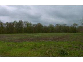 0 Hyden Road Spencer, IN 47460 - Photo 1 of 3 Gallery Image 1