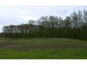 0 Hyden Road Spencer, IN 47460 - Photo 2 of 3 Gallery Image 2