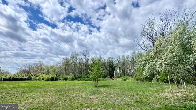 a big yard with lots of green space and trees