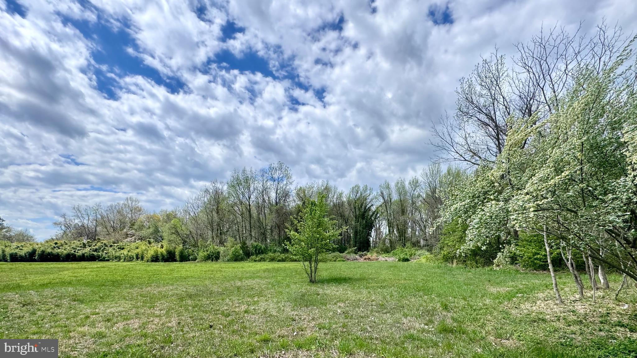 Calvert Street Easton, MD 21601 - Photo 12 of 18 a big yard with lots of green space and trees