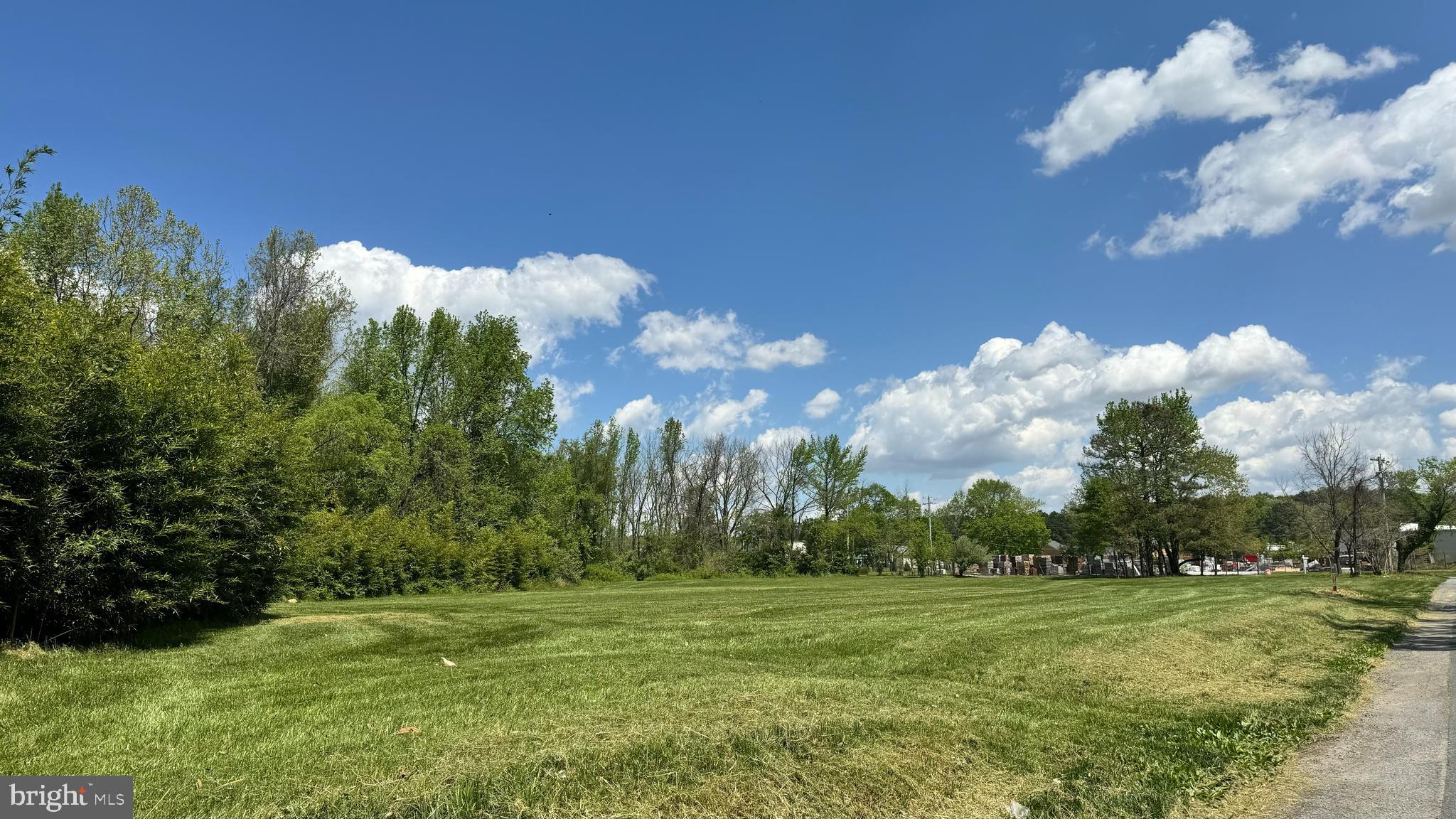 Calvert Street Easton, MD 21601 - Photo 13 of 18 a view of a big yard with lots of green space