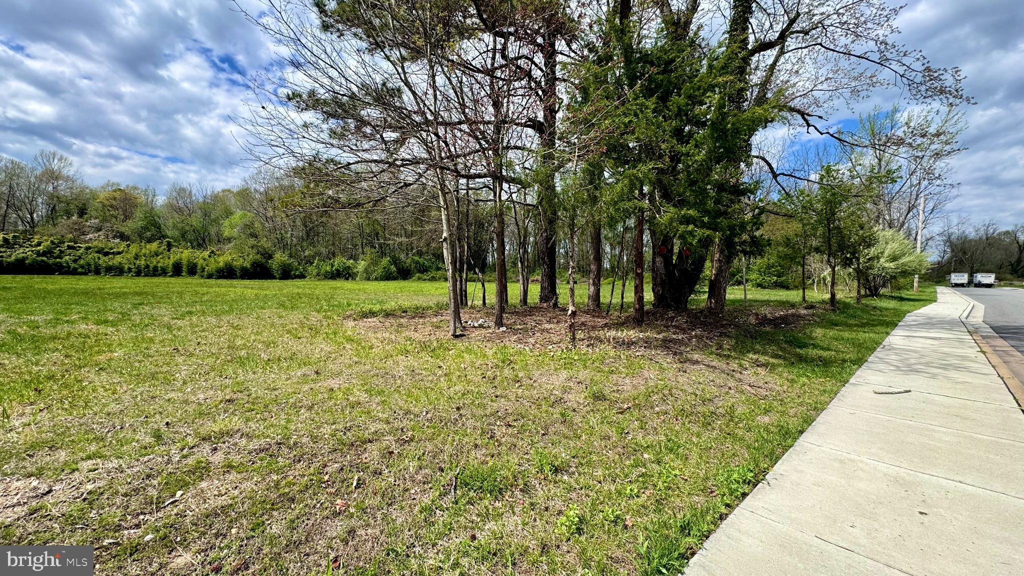 Calvert Street Easton, MD 21601 - Photo 14 of 18 a view of a park with large trees