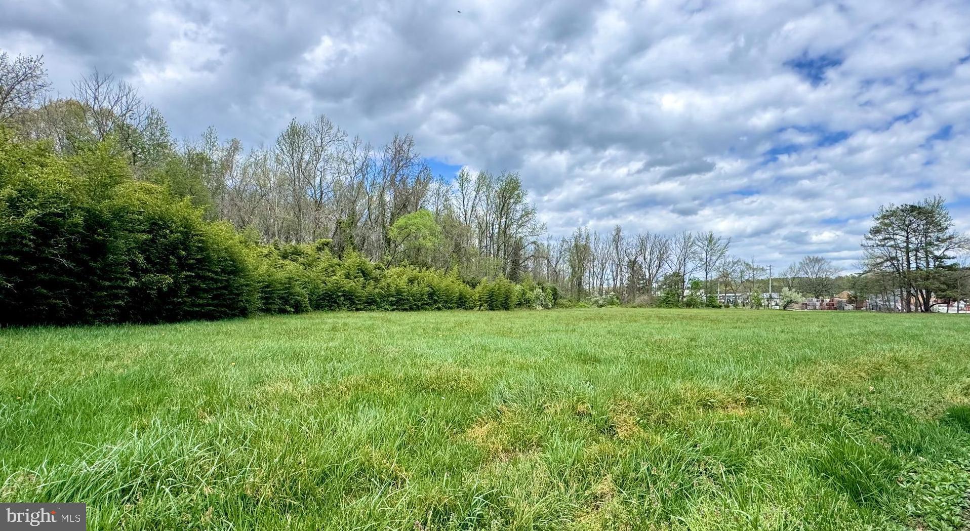 Calvert Street Easton, MD 21601 - Photo 15 of 18 a view of a field of grass and trees