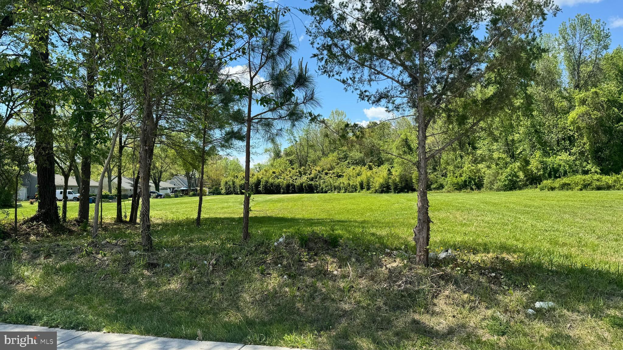 Calvert Street Easton, MD 21601 - Photo 2 of 18 a view of a backyard with trees