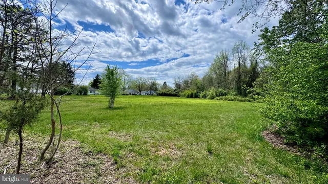 a view of a field with grass and trees