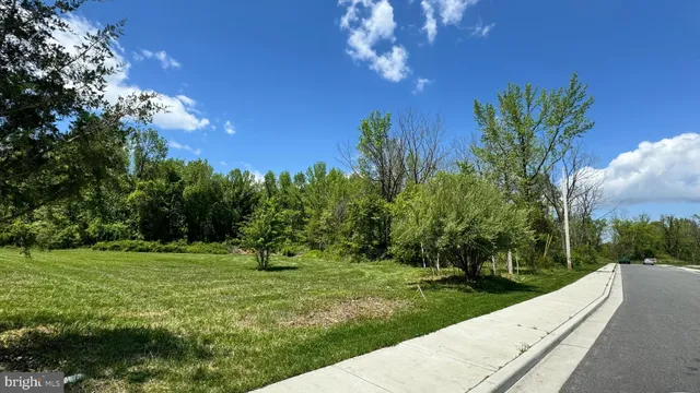 a garden view with a seating space