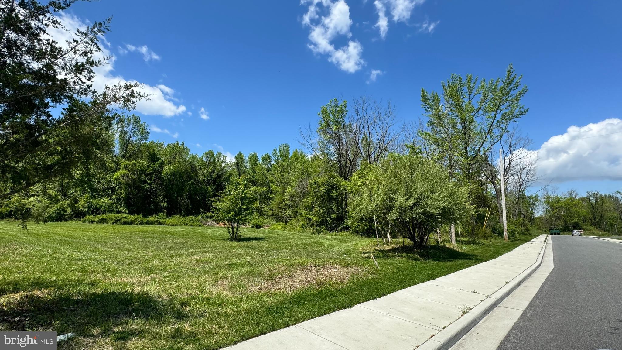 Calvert Street Easton, MD 21601 - Photo 5 of 18 a garden view with a seating space
