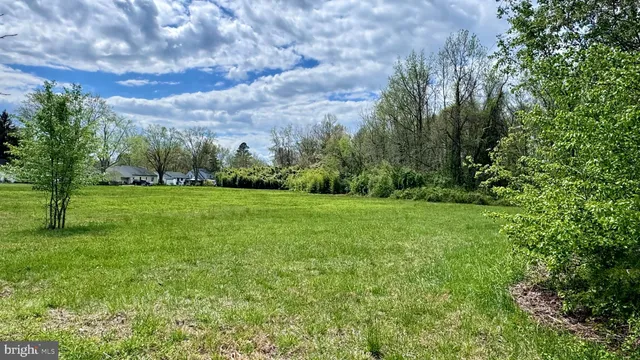 a view of a grassy field with trees