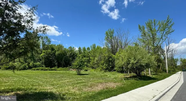 a view of a yard with an tree