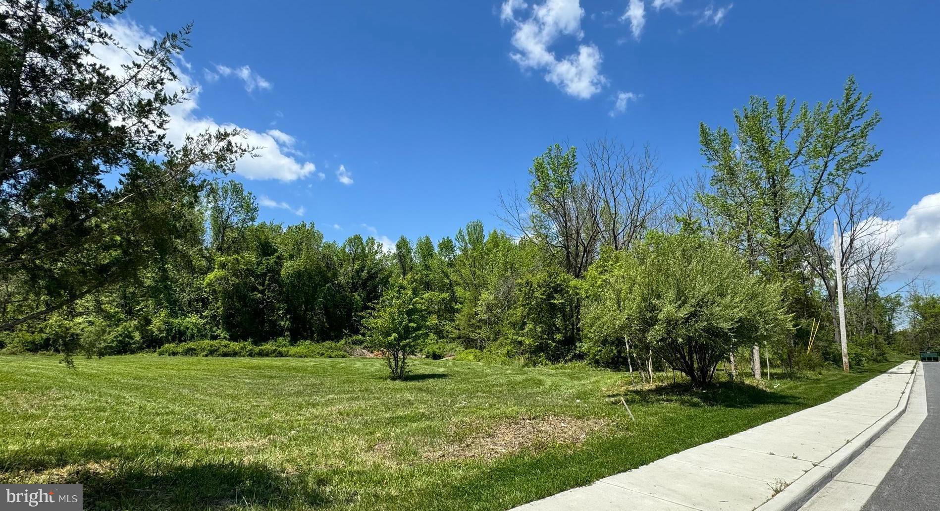 Calvert Street Easton, MD 21601 - Photo 10 of 18 a view of a yard with an tree