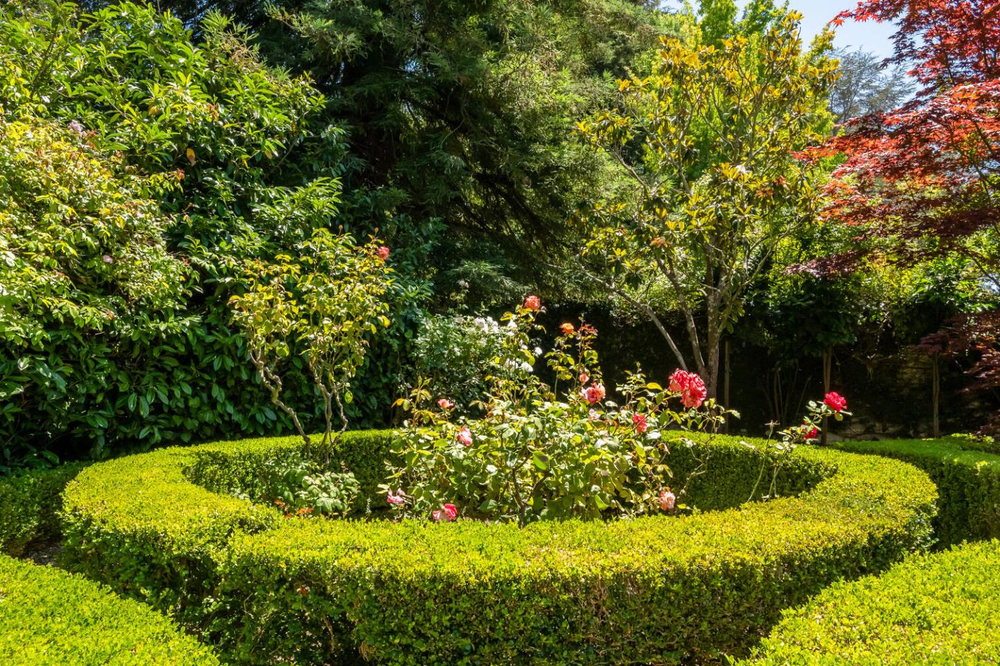 7 Windsor Drive Hillsborough, CA 94010 - Photo 47 of 57 a view of a garden with plants and large trees
