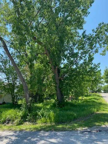 a view of a lush green space