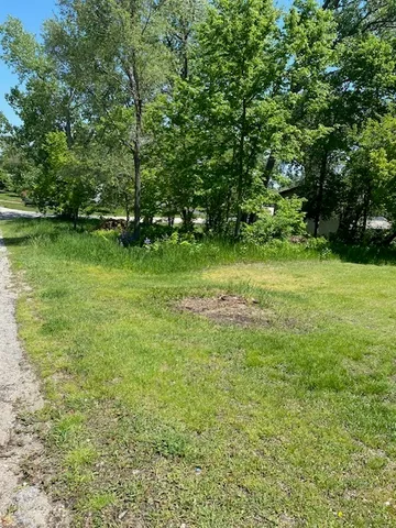a view of a field with a trees