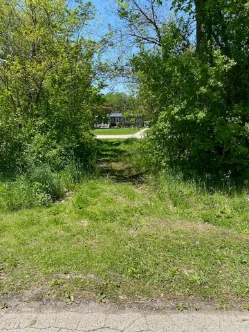 a view of a yard with plants and large trees