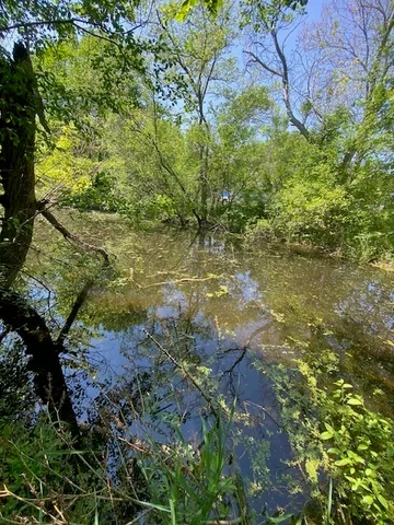 a backyard of a house with yard and outdoor seating