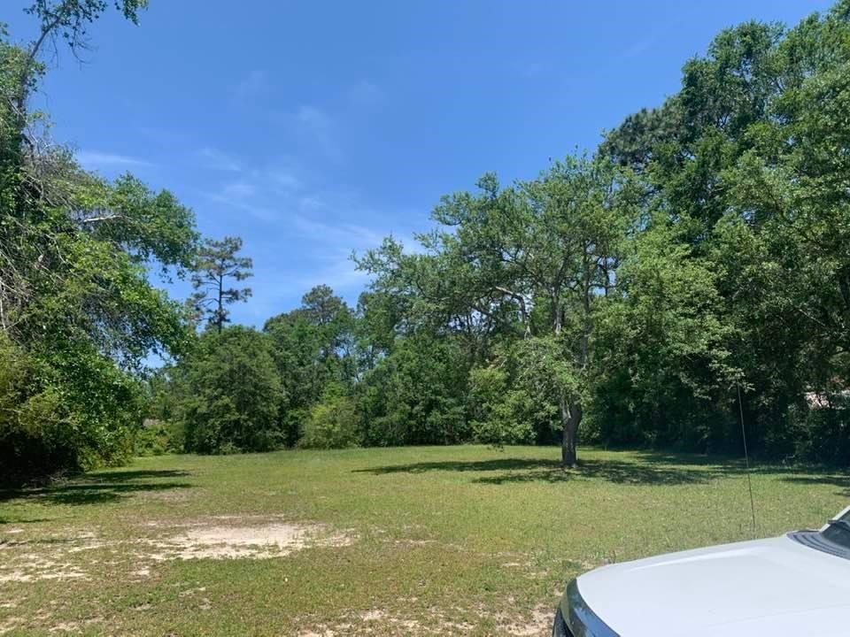 9440 Soldier Creek Road Lillian, AL 36549 - Photo 6 of 6
