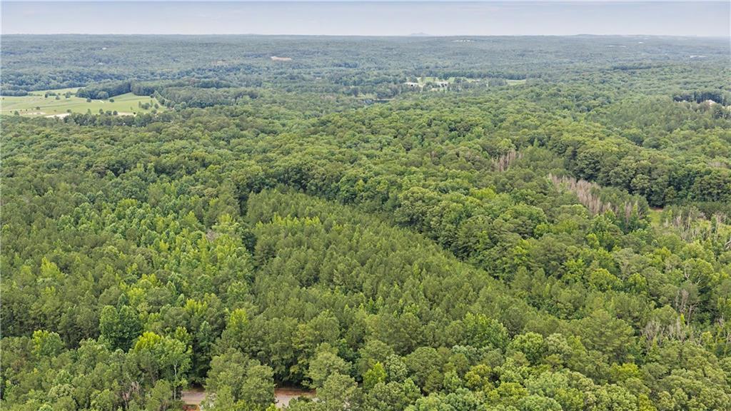 0 Cedar Grove Road Fairburn, GA 30213 - Photo 4 of 9