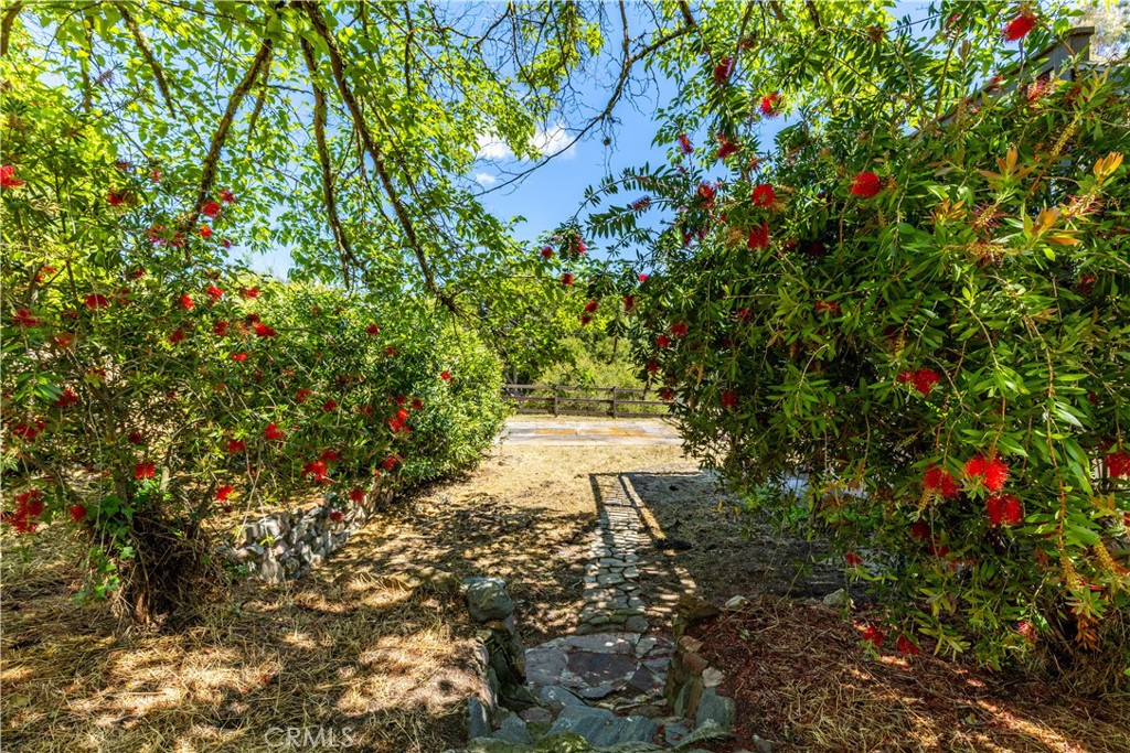 4530 San Ardo Avenue Atascadero, CA 93422 - Photo 33 of 37 a view of yard