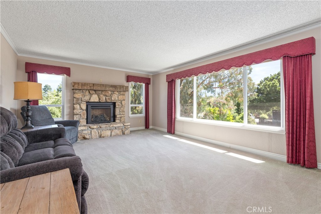4530 San Ardo Avenue Atascadero, CA 93422 - Photo 6 of 37 a living room with furniture and a fireplace