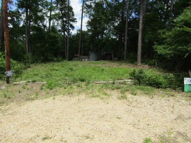 a view of backyard with green space
