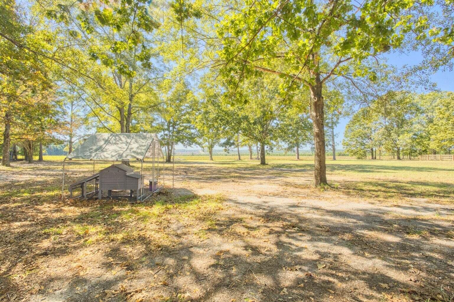 793 Flowing Well Road Wagener, SC 29164 - Photo 48 of 75 47