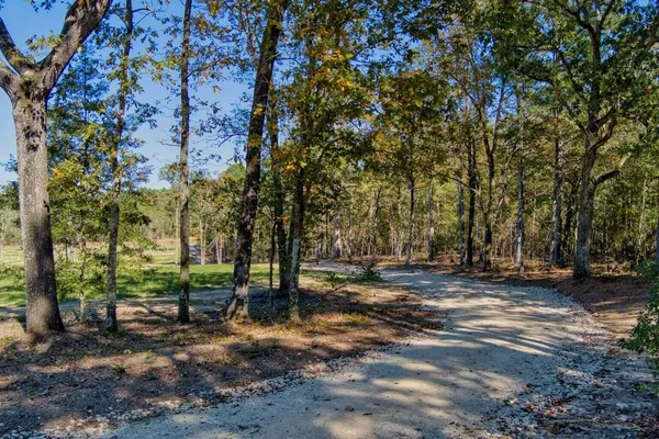 $1,195,000 | 793 Flowing Well Road, Wagener, SC 29164