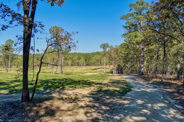 $1,200,000 | 793 Flowing Well Road, Wagener, SC 29164