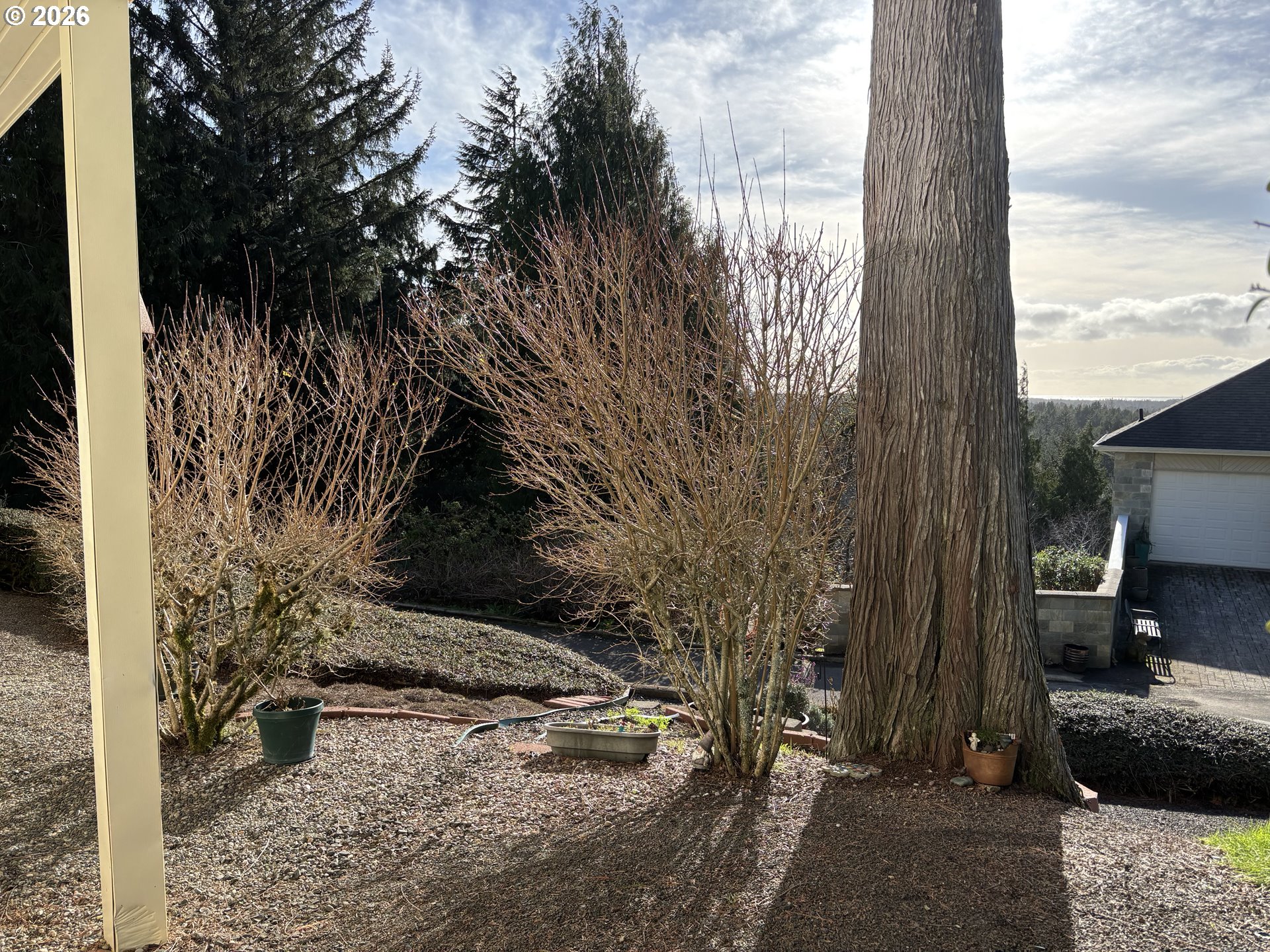 3520 Ocean View Drive Florence, OR 97439 - Photo 42 of 44 a view of a backyard of the house