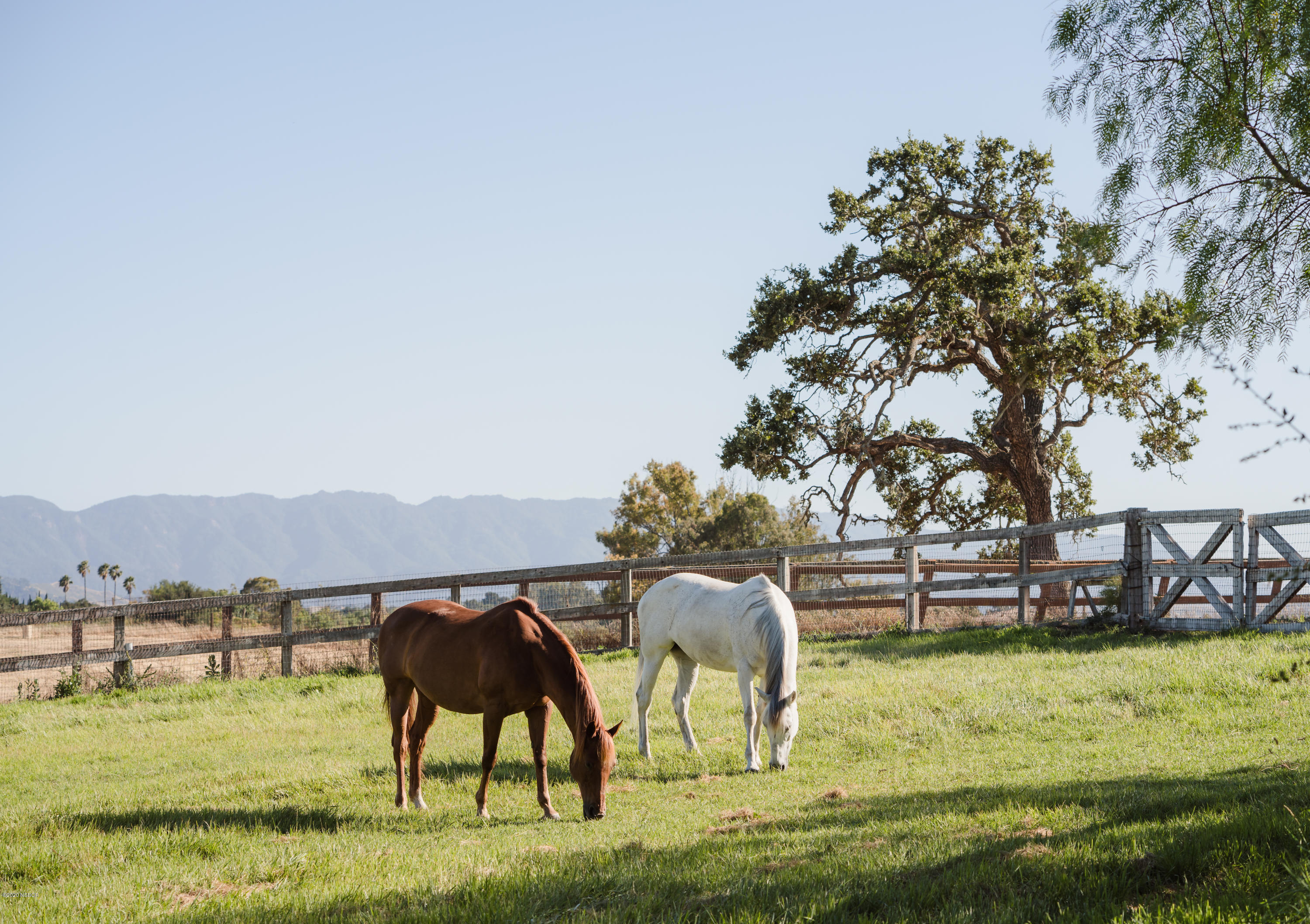 1721 North Refugio Road Santa Ynez, CA 93460 - Photo 6 of 59 Pasture